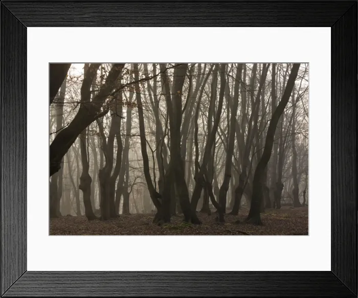 Framed Print : Picture No. 10890412 Framed Print : Picture No. 10890412