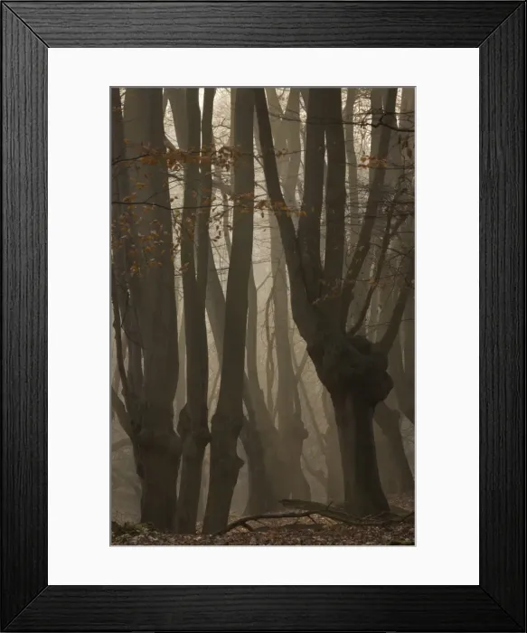 Framed Print : Picture No. 10890415 Framed Print : Picture No. 10890415