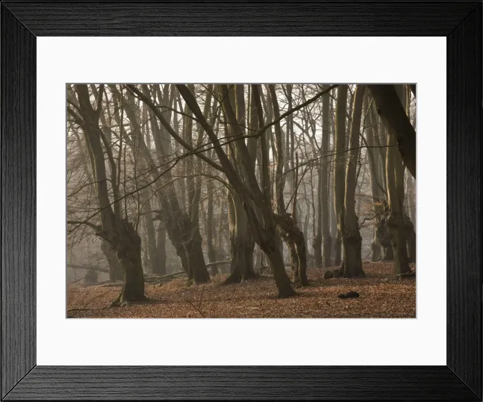 Framed Print : Picture No. 10890416 Framed Print : Picture No. 10890416