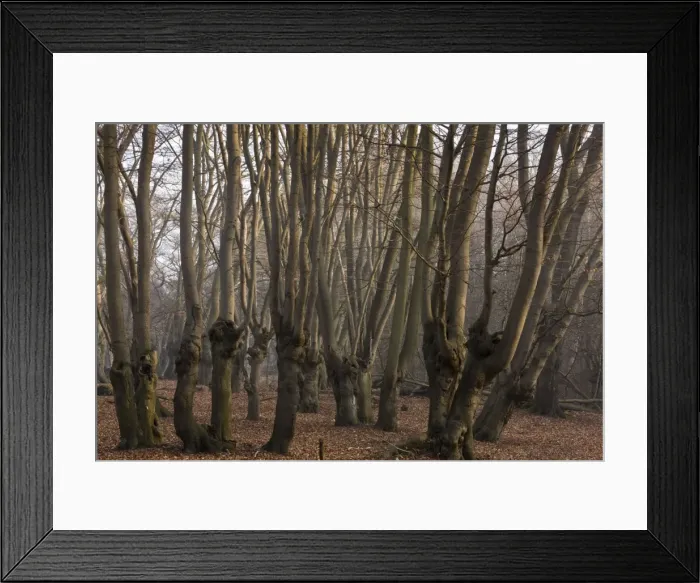 Framed Print : Picture No. 10890413 Framed Print : Picture No. 10890413