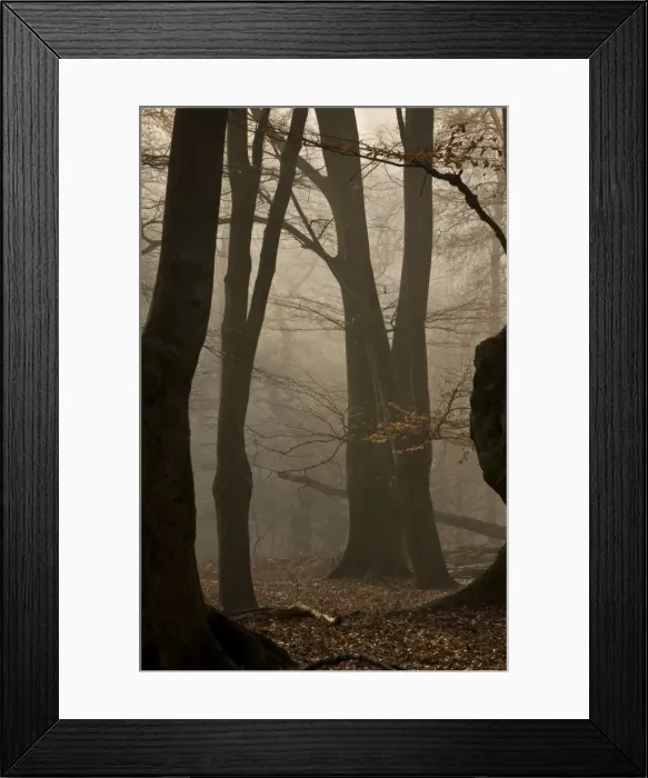 Framed Print : Picture No. 10890417 Framed Print : Picture No. 10890417