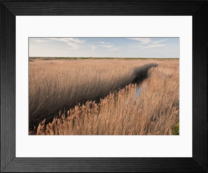 Framed Print : Picture No. 10890422 Framed Print : Picture No. 10890422