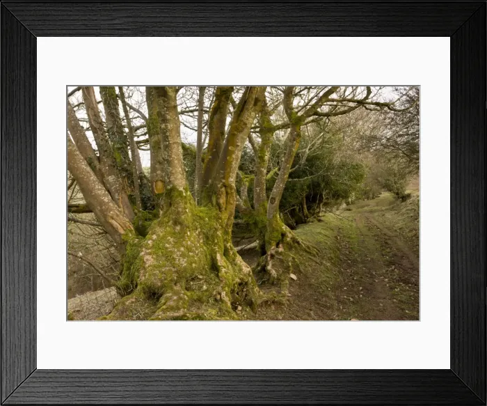 Framed Print : Picture No. 10890440 Framed Print : Picture No. 10890440