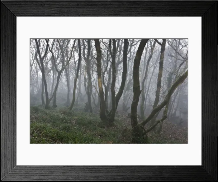 Framed Print : Picture No. 10890442 Framed Print : Picture No. 10890442