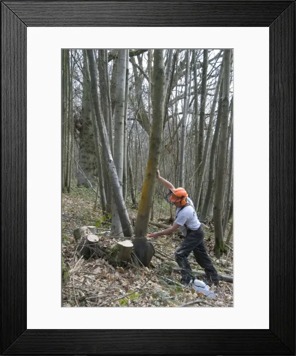 Framed Print : Picture No. 10890448 Framed Print : Picture No. 10890448