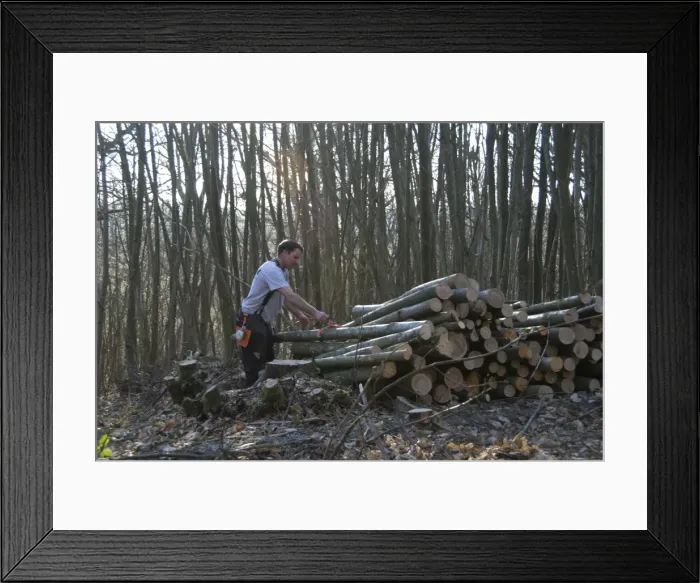 Framed Print : Picture No. 10890449