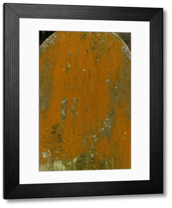 Framed Print : Picture No. 10890444 Framed Print : Picture No. 10890444