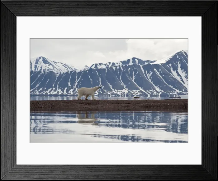 Framed Print : Picture No. 10890464