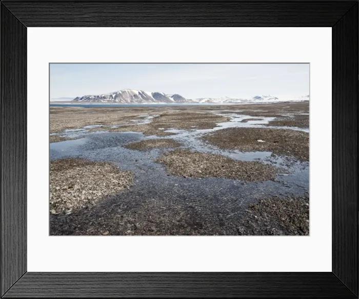 Framed Print : Picture No. 10890465 Framed Print : Picture No. 10890465