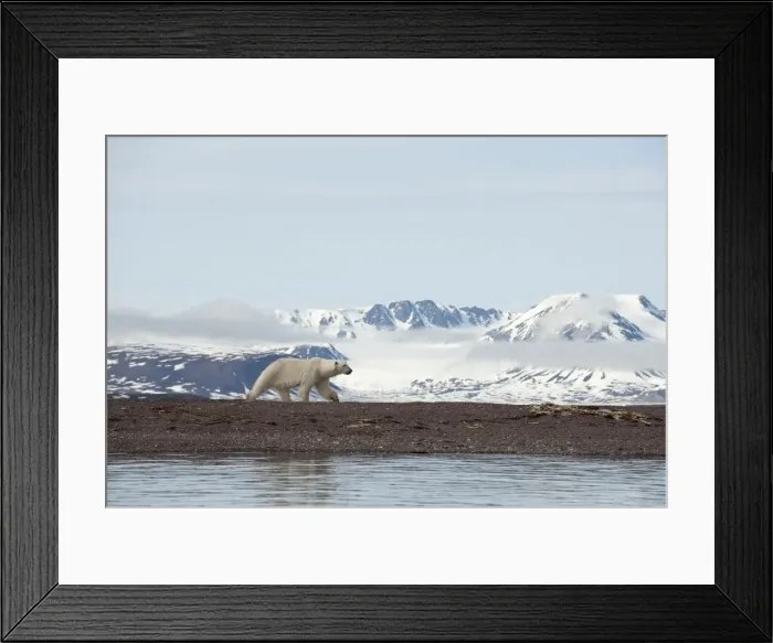 Framed Print : Picture No. 10890463 Framed Print : Picture No. 10890463