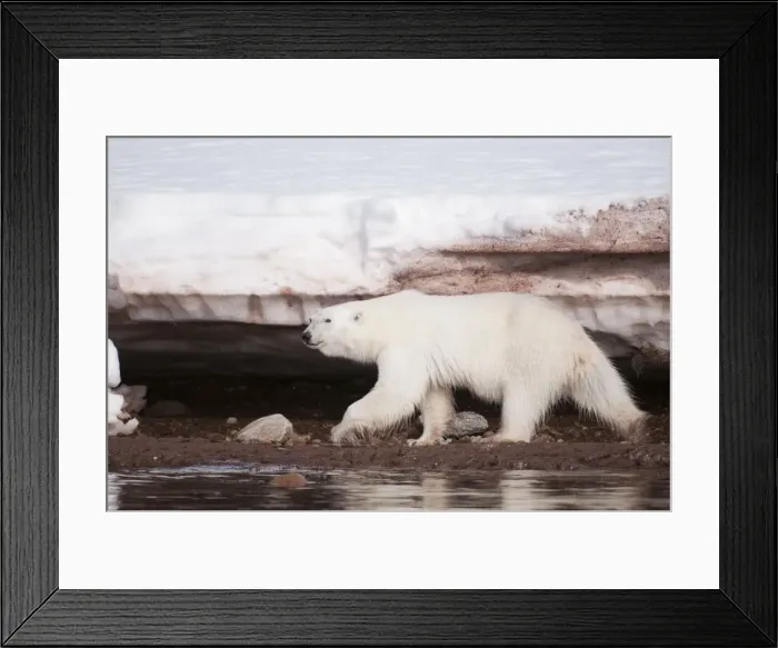 Framed Print : Picture No. 10890496 Framed Print : Picture No. 10890496