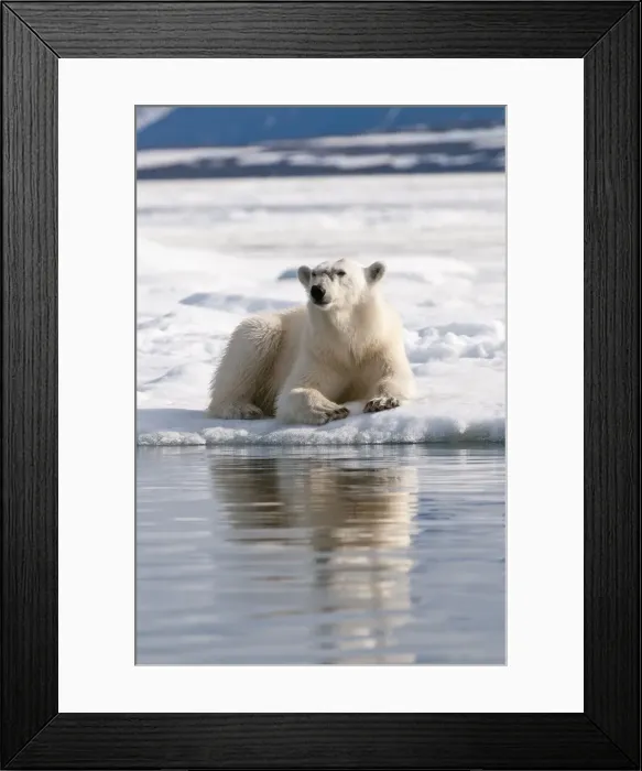 Framed Print : Picture No. 10890502