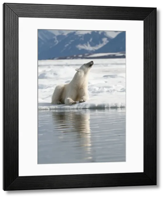 Framed Print : Picture No. 10890501 Framed Print : Picture No. 10890501