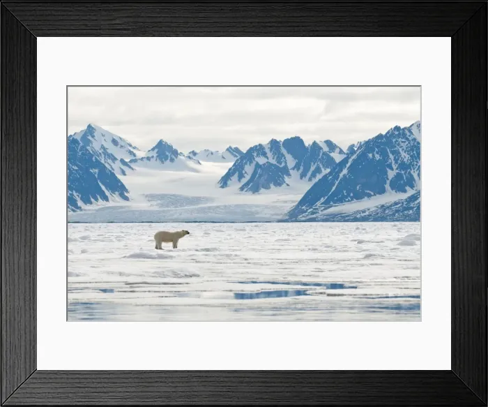 Framed Print : Picture No. 10890507 Framed Print : Picture No. 10890507