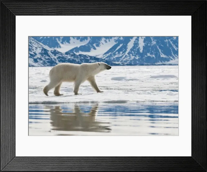 Framed Print : Picture No. 10890505 Framed Print : Picture No. 10890505