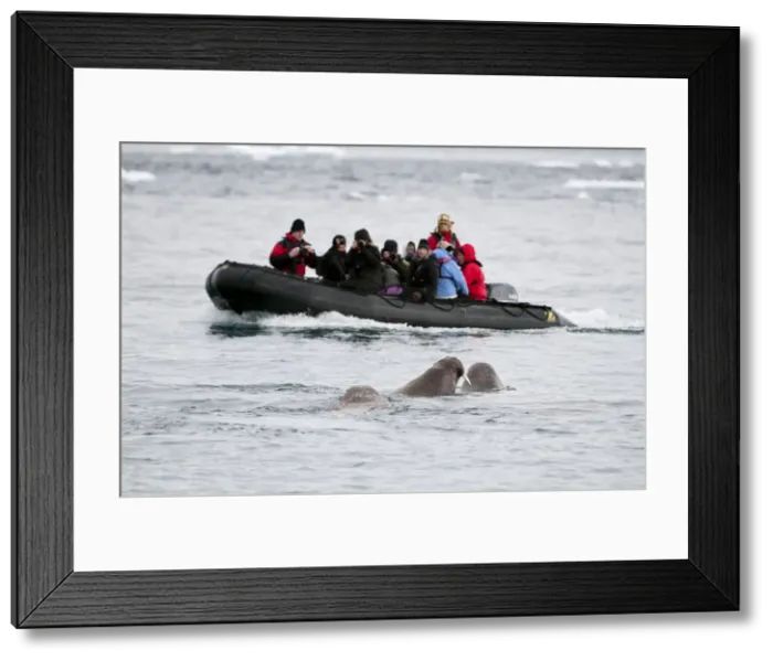 Framed Print : Picture No. 10890512 Framed Print : Picture No. 10890512