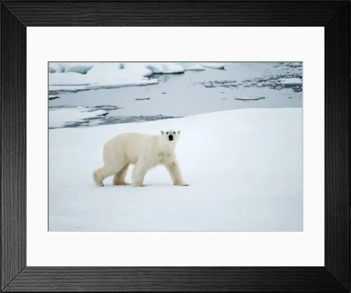 Framed Print : Picture No. 10890518 Framed Print : Picture No. 10890518