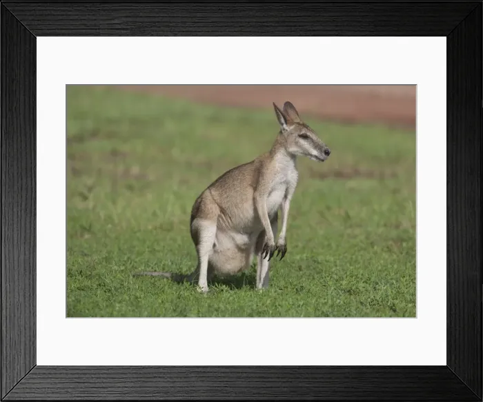 Framed Print : Picture No. 10890589 Framed Print : Picture No. 10890589