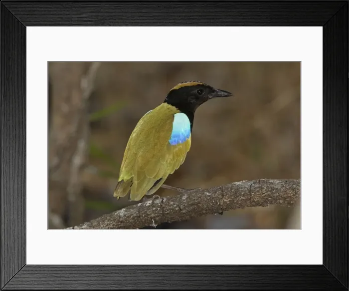 Framed Print : Picture No. 10890668 Framed Print : Picture No. 10890668