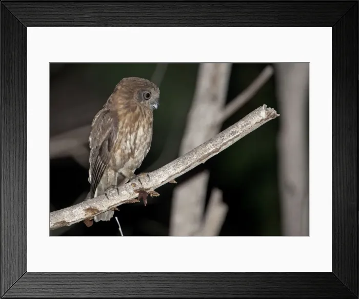 Framed Print : Picture No. 10890679 Framed Print : Picture No. 10890679