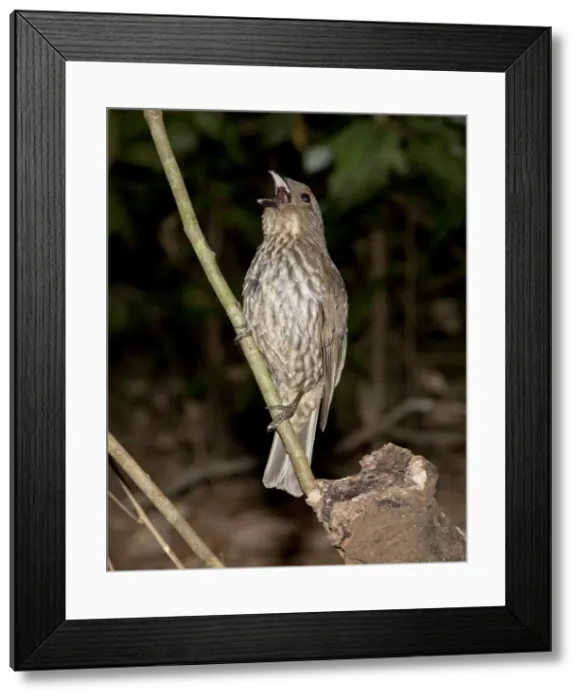 Framed Print : Picture No. 10890683 Framed Print : Picture No. 10890683