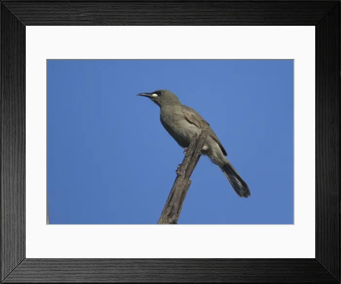 Framed Print : Picture No. 10890690 Framed Print : Picture No. 10890690