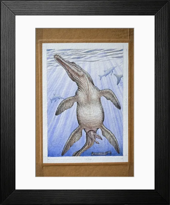 Framed Print : Picture No. 10890765 Framed Print : Picture No. 10890765