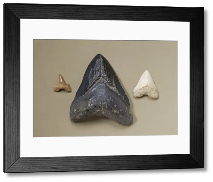 Framed Print : Picture No. 10890767 Framed Print : Picture No. 10890767