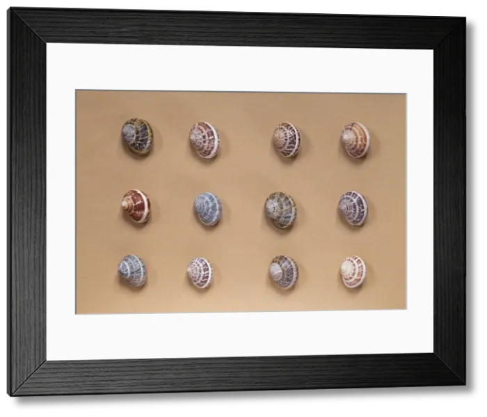 Framed Print : Picture No. 10890770 Framed Print : Picture No. 10890770