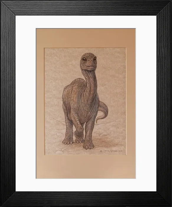 Framed Print : Picture No. 10890773 Framed Print : Picture No. 10890773