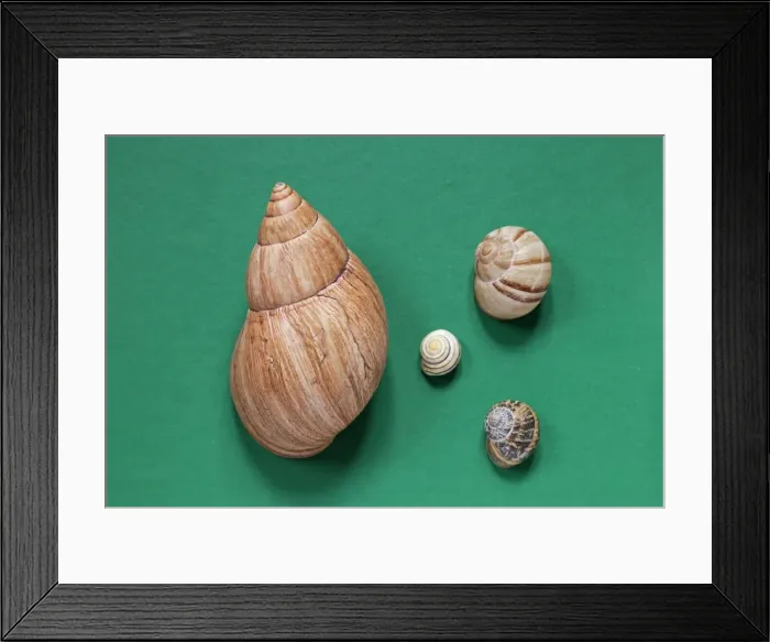 Framed Print : Picture No. 10890768 Framed Print : Picture No. 10890768