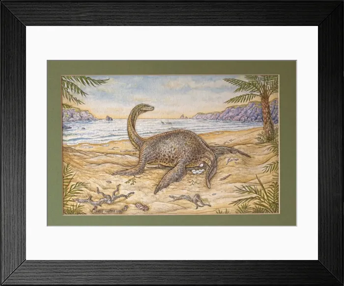 Framed Print : Picture No. 10890775 Framed Print : Picture No. 10890775