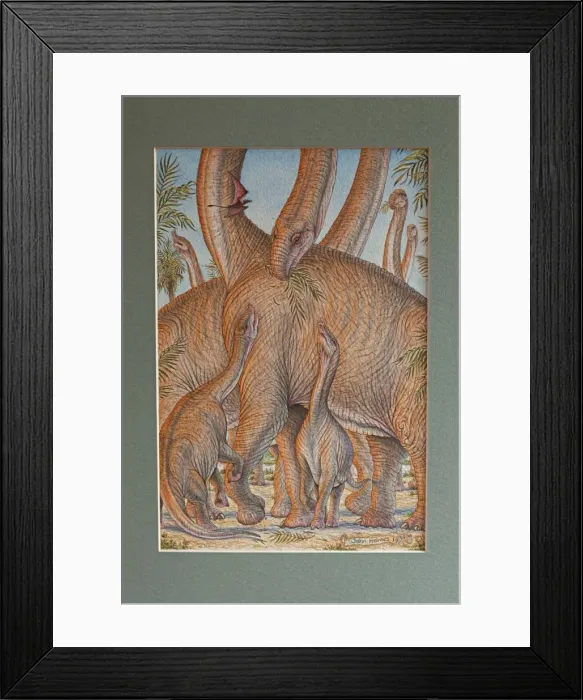 Framed Print : Picture No. 10890771 Framed Print : Picture No. 10890771
