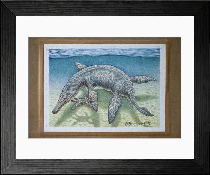 Framed Print : Picture No. 10890766 Framed Print : Picture No. 10890766