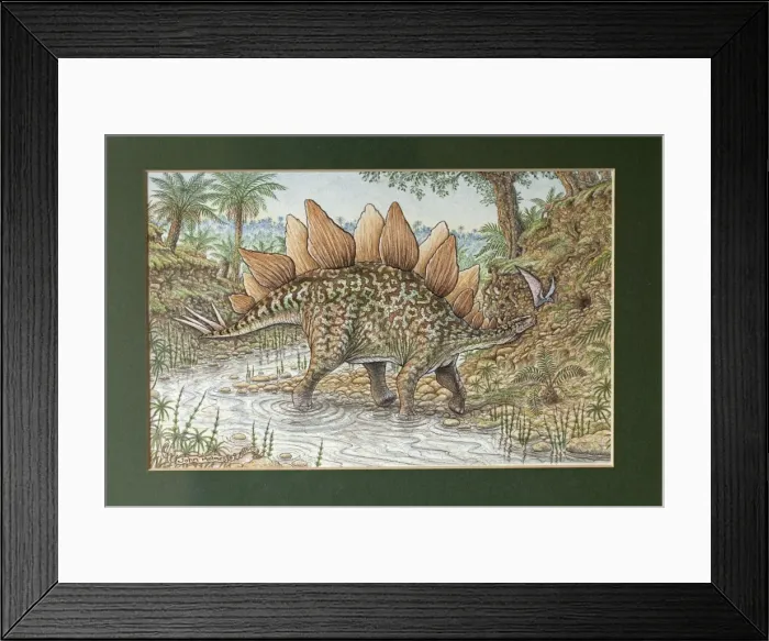 Framed Print : Picture No. 10890777 Framed Print : Picture No. 10890777