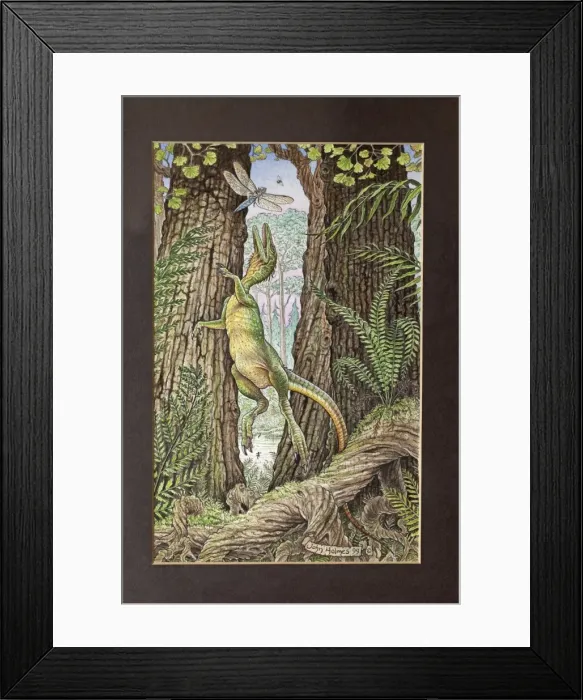 Framed Print : Picture No. 10890779 Framed Print : Picture No. 10890779