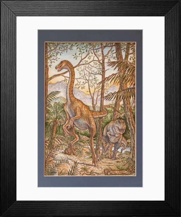 Framed Print : Picture No. 10890774 Framed Print : Picture No. 10890774