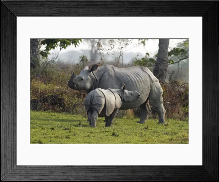 Framed Print : Picture No. 10890784 Framed Print : Picture No. 10890784