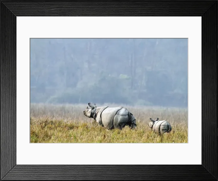 Framed Print : Picture No. 10890790 Framed Print : Picture No. 10890790