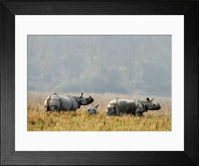 Framed Print : Picture No. 10890796 Framed Print : Picture No. 10890796