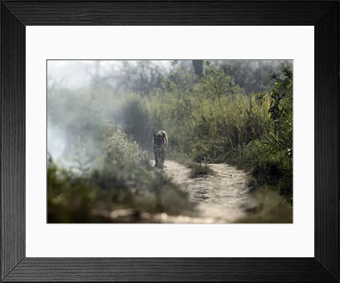 Framed Print : Picture No. 10890792 Framed Print : Picture No. 10890792