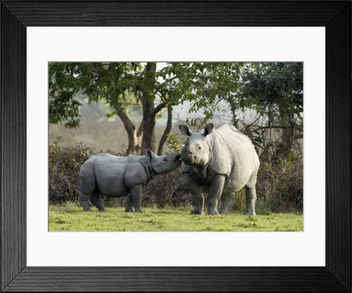 Framed Print : Picture No. 10890802 Framed Print : Picture No. 10890802