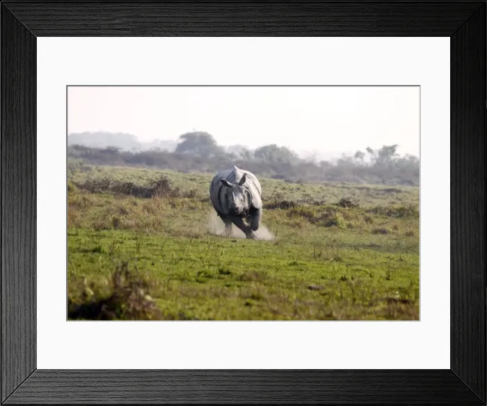 Framed Print : Picture No. 10890805 Framed Print : Picture No. 10890805