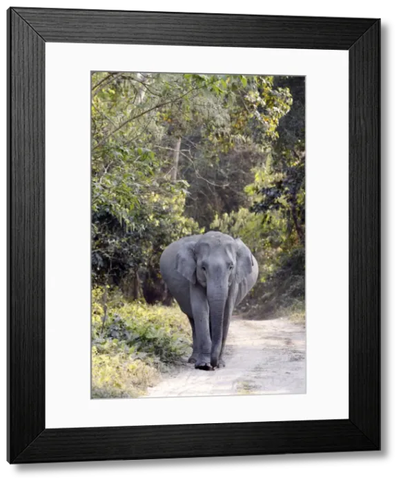 Framed Print : Picture No. 10890804 Framed Print : Picture No. 10890804