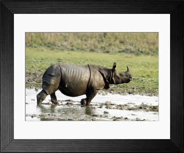 Framed Print : Picture No. 10890808