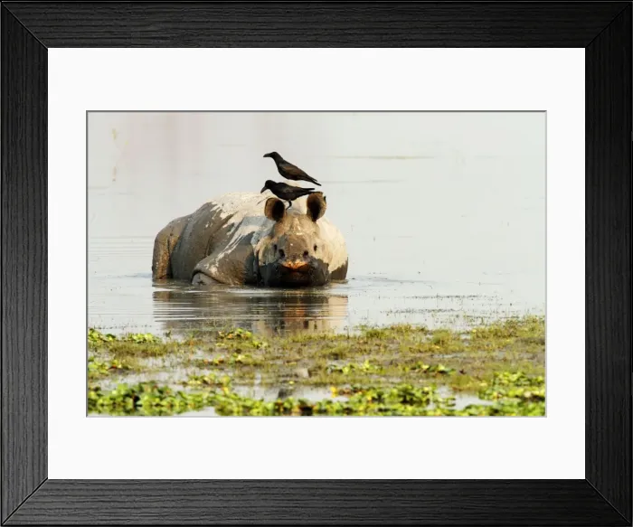 Framed Print : Picture No. 10890806 Framed Print : Picture No. 10890806