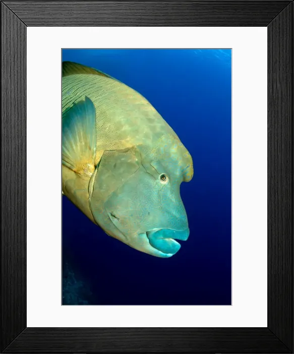 Framed Print : Picture No. 10890809 Framed Print : Picture No. 10890809