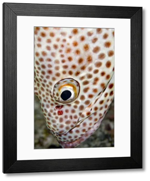 Framed Print : Picture No. 10890822 Framed Print : Picture No. 10890822