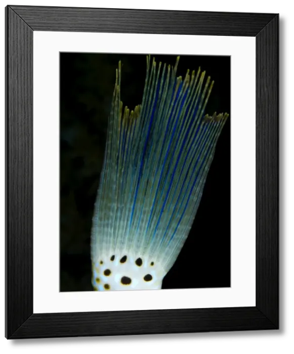 Framed Print : Picture No. 10890823 Framed Print : Picture No. 10890823