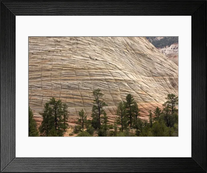 Framed Print : Picture No. 10899426